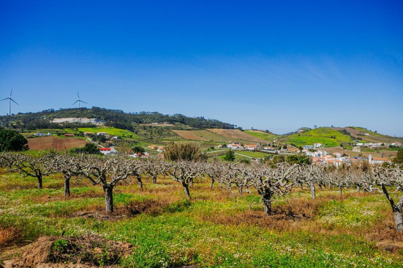 Traditional Portuguese Village House - Casa Martins No 52 Freiria 외부 사진