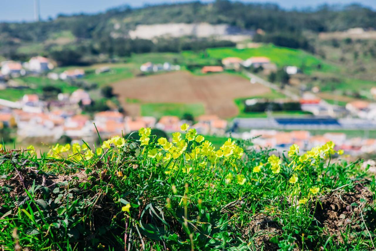 Traditional Portuguese Village House - Casa Martins No 52 Freiria 외부 사진