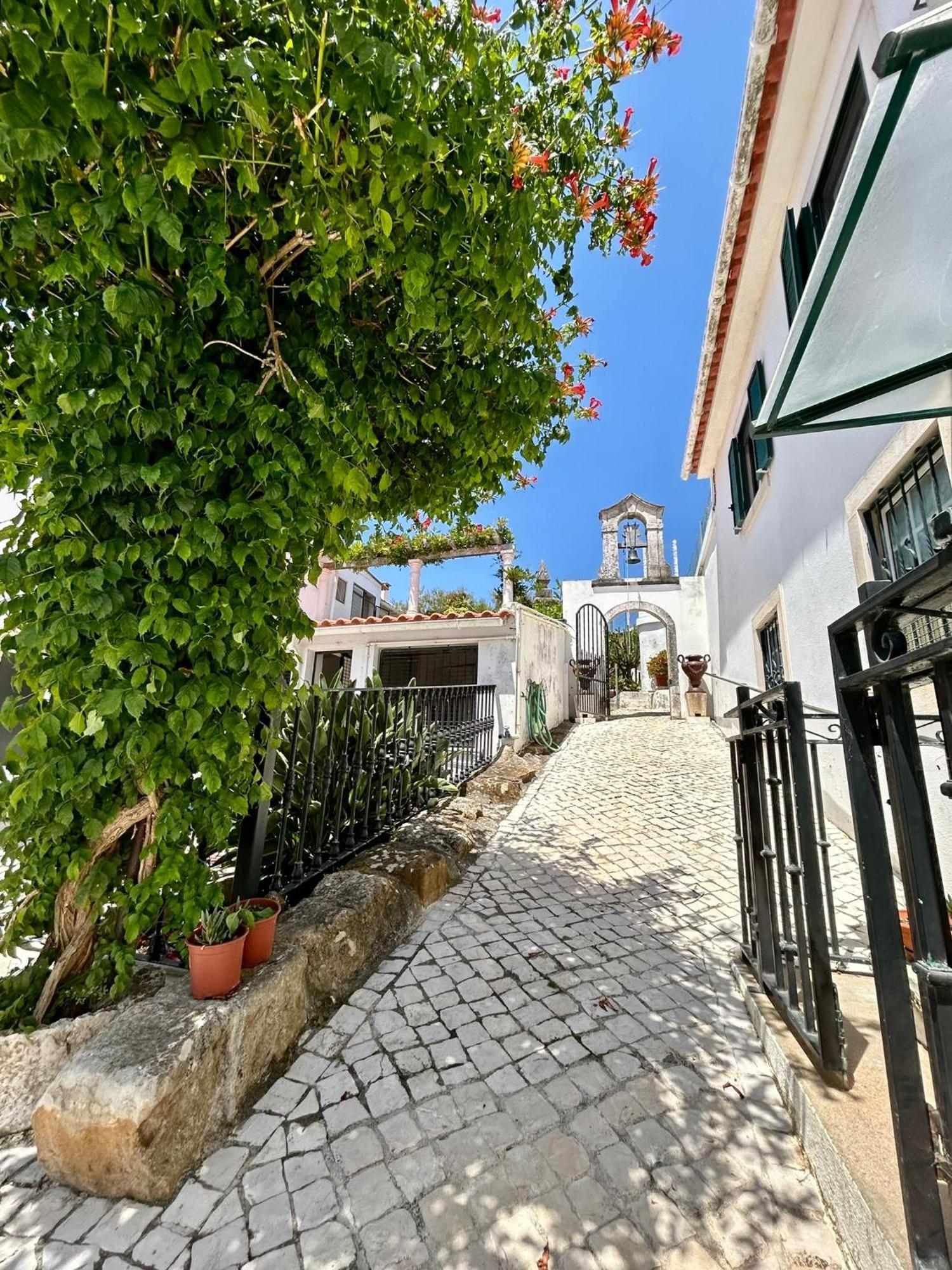 Traditional Portuguese Village House - Casa Martins No 52 Freiria 외부 사진